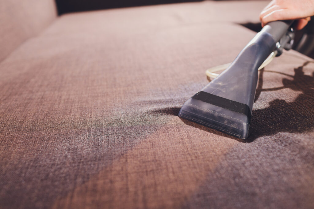 Special vacuum cleaning a sofa cushion with professionally extraction method. Upholstered furniture.